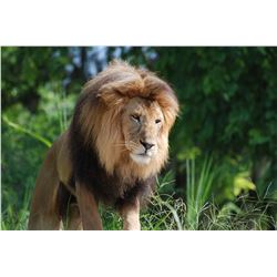 Items continually being added.