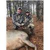 Image 2 : Cow Elk or Whitetail Management Buck up to 130"
