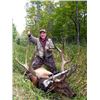Image 4 : Cow Elk or Whitetail Management Buck up to 130"