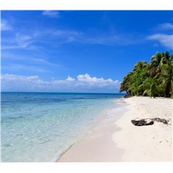 Belize Fishing and Diving for 2