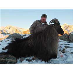 New Zeeland Tahr Hunt for 1