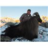 Image 1 : New Zeeland Tahr Hunt for 1