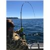 Image 2 : Alaskan Fishing Adventure for 4