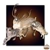 Image 1 : Taxidermy by Dourlain