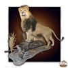Image 5 : Taxidermy by Dourlain