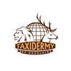 Image 7 : Taxidermy by Dourlain