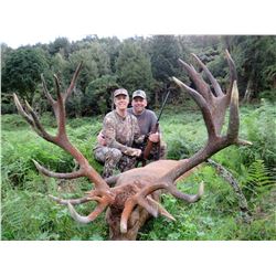 Red Stag Hunt for 1 in New Zeeland