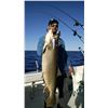 Image 2 : 1/2 Day Charter for 4-6 people in Northern Michigan