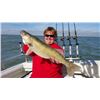Image 1 : Trophy Walleye Trip on Lake Erie