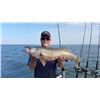 Image 2 : Trophy Walleye Trip on Lake Erie