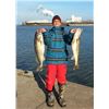 Image 3 : Trophy Walleye Trip on Lake Erie