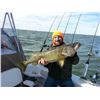 Image 4 : Trophy Walleye Trip on Lake Erie