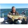 Image 5 : Trophy Walleye Trip on Lake Erie