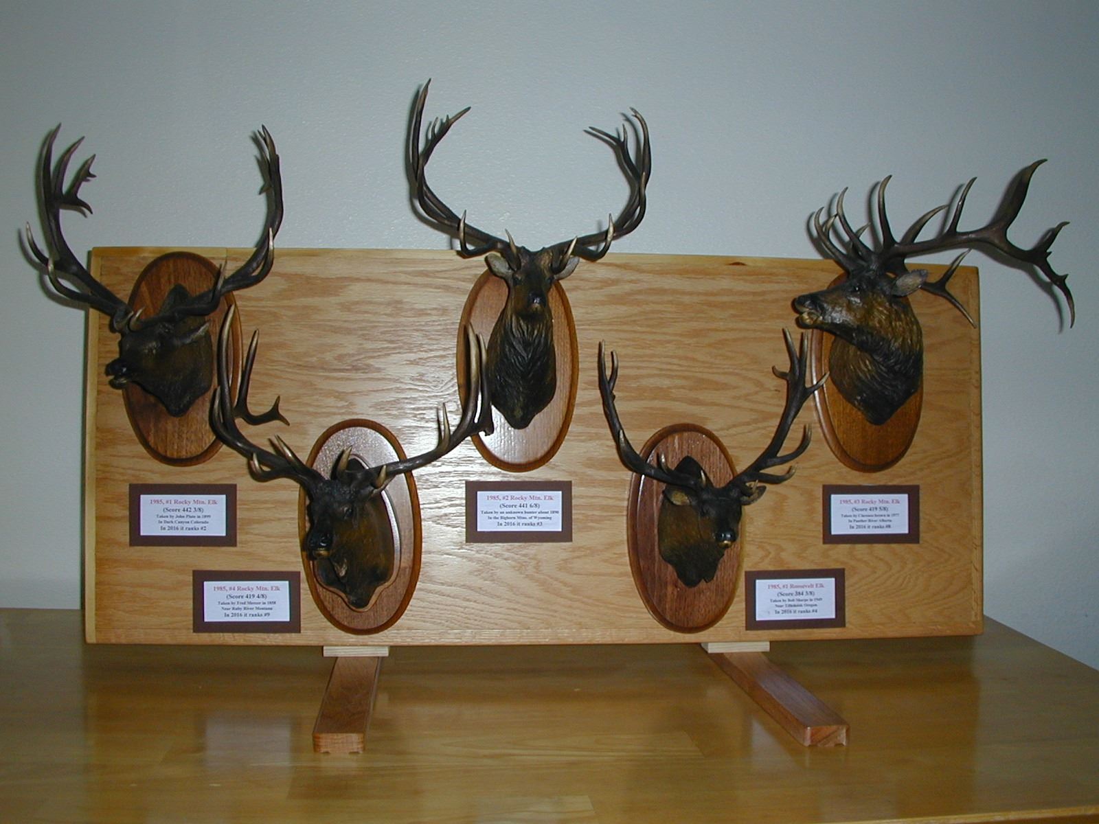 Artists Proof 1 RMEF Record Bronze Elk Heads