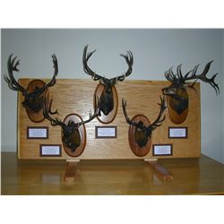 Artists Proof #1 RMEF Record Bronze Elk Heads