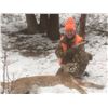 Image 5 : Montana Mountain Lion Hunt