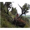 Image 3 : New Zealand Red Stag & Goat Hunting Trip