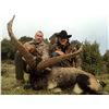 Image 3 : 6 Day (3 days per hunter) Ibex hunt for 2 Hunters with Spain Hunting Ibex – Includes 2 Ibex