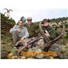 Image 4 : 6 Day (3 days per hunter) Ibex hunt for 2 Hunters with Spain Hunting Ibex – Includes 2 Ibex