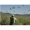 Image 1 : 4 Day/3 Night Argentina Dove Hunt for 3 Hunters with  OC Outfitters (6 dove hunts)