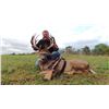 Image 2 : 3 day Whitetail Hunt for a 180"-200" Buck in Ohio with Dakota Outfitters