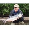 Image 4 : 6 Day/5 Night Alaska Salmon Fishing Trip for 1 Angler at McDougall Lodge in Alaska when you take ano