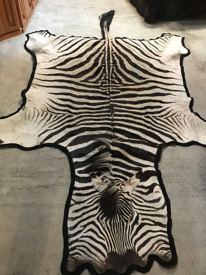 Zebra Hide Rug