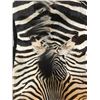 Image 3 : Zebra Hide Rug