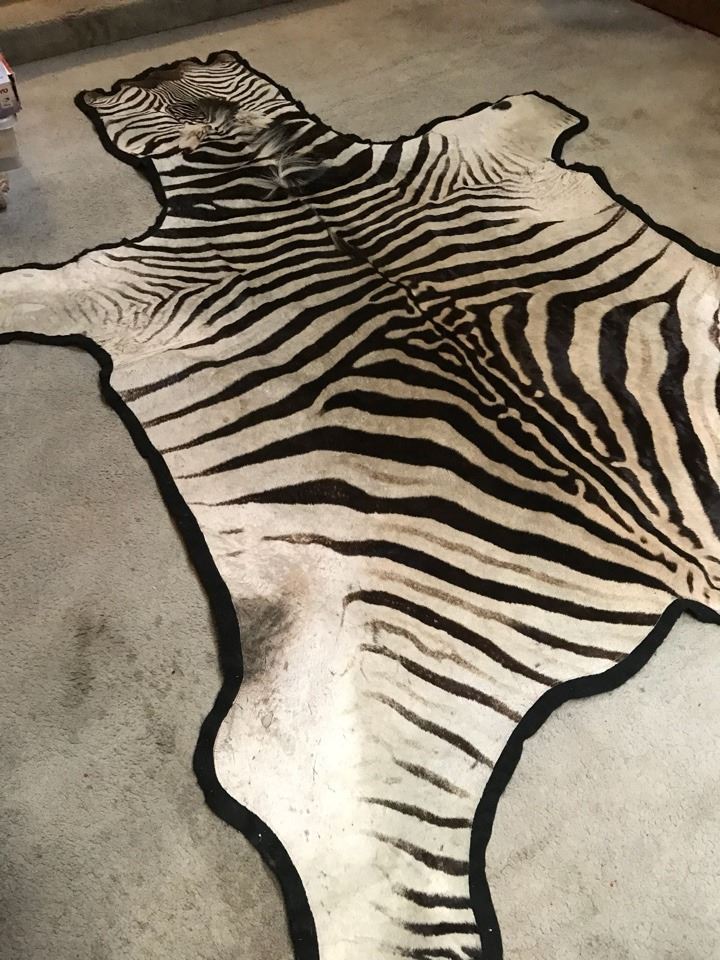 Zebra Hide Rug