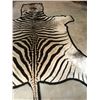 Image 5 : Zebra Hide Rug