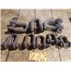 Image 1 : D Shackles