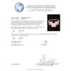 Image 5 : 1.50 ctw Diamond Ring - 14KT White Gold