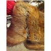 Image 10 : Alaskan Arctic Fur Parka -David Green