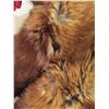Image 12 : Alaskan Arctic Fur Parka -David Green
