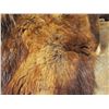 Image 9 : Alaskan Arctic Fur Parka -David Green