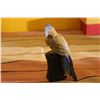 Image 1 : Assorted Stone Birds Gift Item