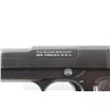 Image 10 : Reising Mfg It's a Bear .22 LR Semi Auto Pistol