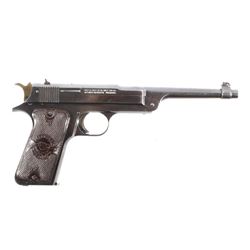 Reising Mfg It's a Bear .22 LR Semi Auto Pistol