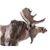 Image 10 : Original Bob Scriver Bronze Moose Sculpture