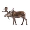 Image 2 : Original Bob Scriver Bronze Moose Sculpture