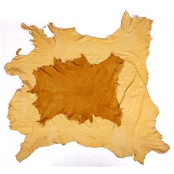 Two Fully-Groomed & Tanned Elk Hides