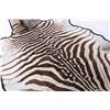 Image 3 : Exotic Zebra Full Mount Felted Room Rug