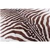 Image 4 : Exotic Zebra Full Mount Felted Room Rug