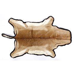 Pronghorn Antelope Taxidermy Rug Mount