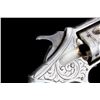 Image 12 : Engraved Forehand & Wadsworth .32 Pioneer Revolver