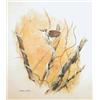Image 1 : Terence Lambert watercolour, Wren perched upon a branch, signed, 11.5 x 10 ins....