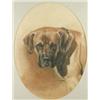 Image 1 : Adriana Zueller pastel and watercolour, Portrait of 'Ginger', a mastiff, signed and dated '73, 18...