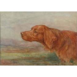 Florence Jay (Exh. 1905-20) watercolour, Head of an Irish setter, signed, 10 x 14 ins....