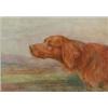 Image 1 : Florence Jay (Exh. 1905-20) watercolour, Head of an Irish setter, signed, 10 x 14 ins....