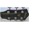 Image 2 : Ibanez Acoustic Guitar Model Number IJM50-NT-2Y-01